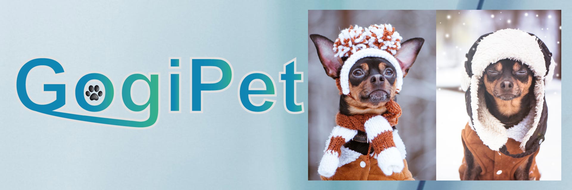 Winterbekleidung, die warme Hundebekleidung für kleine Hunde