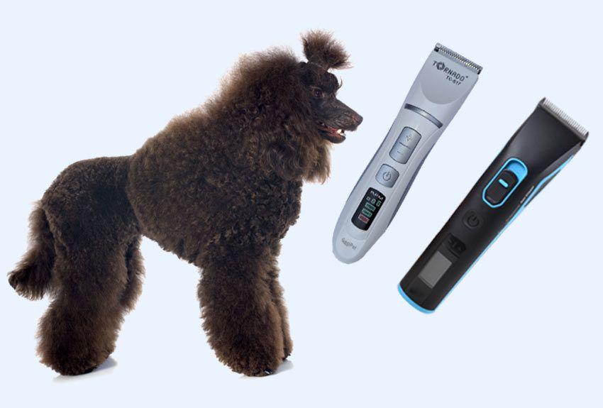 Hundeschermaschinen für den Hundefriseur und für die private Hundepflege